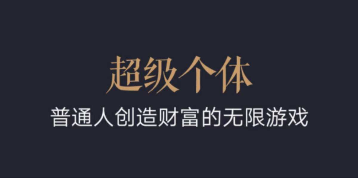 超级个体:2024-2025翻盘指南,普通人创造财富的无限游戏-阳知网创资源库