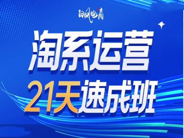 淘系运营21天速成班35期,年前最后一波和2025方向-阳知网创资源库