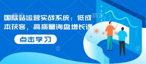 国际站运营实战系统:低成本获客,高质量询盘增长课-阳知网创资源库