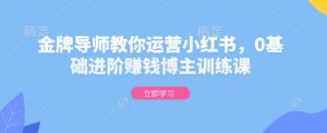 金牌导师教你运营小红书，0基础进阶赚钱博主训练课-阳知网创资源库