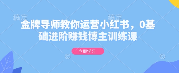 金牌导师教你运营小红书,0基础进阶赚钱博主训练课-阳知网创资源库