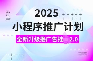 2025小程序推广计划,全新升级撸广告挂JI2.0玩法,日入多张,小白可做【揭秘】-阳知网创资源库