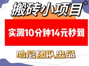 搬砖小项目,实测10分钟14元秒到,每天稳定几张(赠送必看稳定)-阳知网创资源库