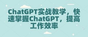 ChatGPT实战教学，快速掌握ChatGPT，提高工作效率-阳知网创资源库