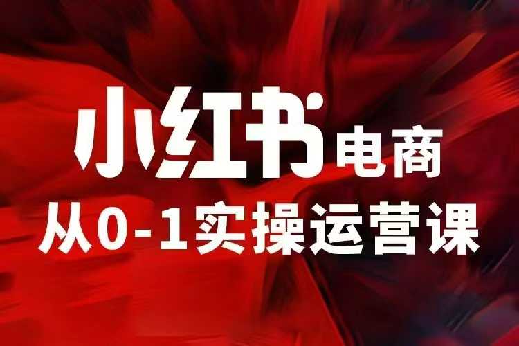 小红书电商运营,97节小红书vip内部课,带你实现小红书赚钱-阳知网创资源库