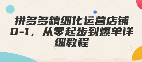 拼多多精细化运营店铺0-1,从零起步到爆单详细教程-阳知网创资源库