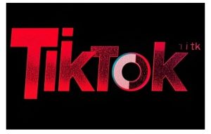 TikTok ads投流秘籍,涵盖tiktok整体投放思路,教你搭建测试计划-阳知网创资源库