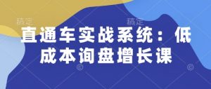 直通车实战系统:低成本询盘增长课,让个人通过技能实现升职加薪,让企业低成本获客,订单源源不断-阳知网创资源库