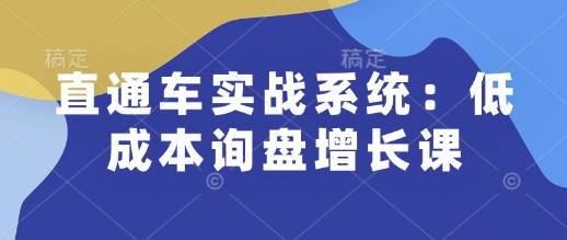 直通车实战系统:低成本询盘增长课,让个人通过技能实现升职加薪,让企业低成本获客,订单源源不断-阳知网创资源库