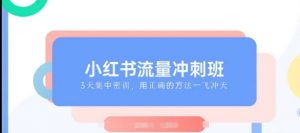 小红书流量冲刺班2025，最懂小红书的女人，快速教你2025年入局小红书-阳知网创资源库