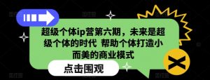 超级个体ip营第六期,未来是超级个体的时代 帮助个体打造小而美的商业模式-阳知网创资源库
