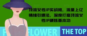 顶流女性IP实战班,流量上亿情绪引爆法,深度打磨顶流女性IP硬核基本功-阳知网创资源库