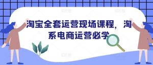 淘宝全套运营现场课程,淘系电商运营必学-阳知网创资源库