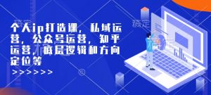 个人ip打造课,私域运营,公众号运营,知乎运营,底层逻辑和方向定位等-阳知网创资源库