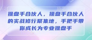 操盘手合伙人,操盘手合伙人的实战修行聚集地,手把手带你成长为专业操盘手-阳知网创资源库