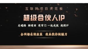 互联网项目天花板，超级合伙人IP，全网都在割韭菜，我来教你做镰刀【仅揭秘】-阳知网创资源库