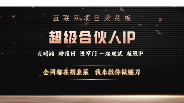 互联网项目天花板，超级合伙人IP，全网都在割韭菜，我来教你做镰刀【仅揭秘】-阳知网创资源库
