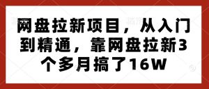 网盘拉新项目,从入门到精通,靠网盘拉新3个多月搞了16W-阳知网创资源库