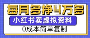 小红书虚拟资料项目，0成本简单复制，每个月多挣1W【揭秘】-阳知网创资源库