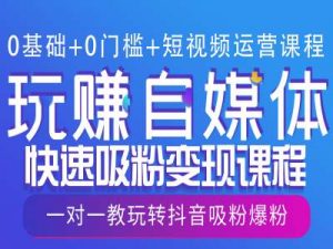0基础+0门槛+短视频运营课程,玩赚自媒体快速吸粉变现课程,一对一教玩转抖音吸粉爆粉-阳知网创资源库