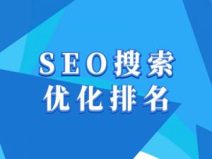 抖音搜索SEO教程，抖音SEO搜索优化排名-阳知网创资源库