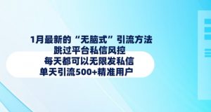 1月最新的无脑式引流方法,跳过平台私信风控,每天都可以无限发私信,单天引流500+精准用户-阳知网创资源库