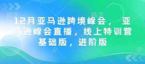 12月亚马逊跨境峰会, 亚马逊峰会直播,线上特训营基础版,进阶版-阳知网创资源库