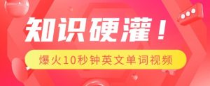 知识硬灌,1分钟教会你,利用AI制作爆火10秒钟记一个英文单词视频-阳知网创资源库