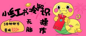 小红书冷知识账号,无脑复制粘贴,5分钟即可变现3张-阳知网创资源库