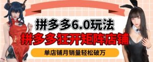 拼多多虚拟商品暴利6.0玩法,轻松实现月入过W-阳知网创资源库