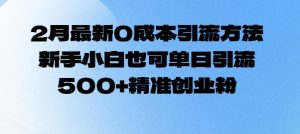 2月最新0成本引流方法,新手小白也可单日引流500+精准创业粉-阳知网创资源库