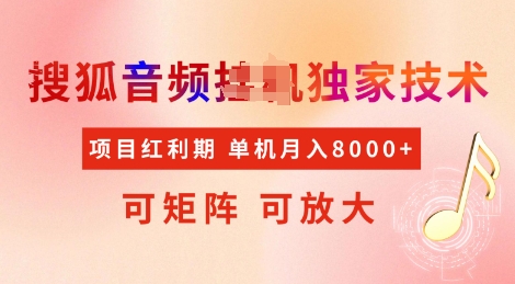 全网首发搜狐音频挂JI独家技术,项目红利期,可矩阵可放大,稳定月入8k【揭秘】-阳知网创资源库