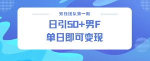 男粉引流新方法不违规，当日即可变现-阳知网创资源库