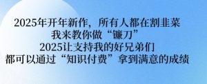 2025年开年新作,所有人都在割韭菜,我来教你做“镰刀” 2025让支持我的好兄弟们都可以通过“知识付费”拿到满意的成绩【揭秘】-阳知网创资源库