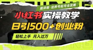 2月小红书最新日引500+创业粉实操教学【超详细】小白轻松上手,月入1W+,附小红书养号起号SOP-阳知网创资源库