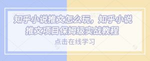 知乎小说推文怎么玩，知乎小说推文项目保姆级实战教程-阳知网创资源库