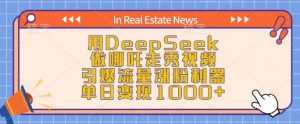 用DeepSeek做哪吒走秀视频,引爆流量涨粉利器,单日变现1k-阳知网创资源库