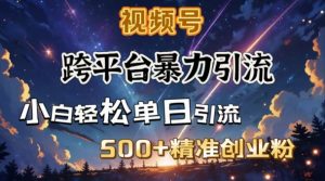 跨平台暴力引流,私域完美闭环,日引500+精准创业粉-阳知网创资源库