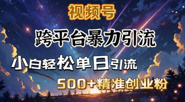 跨平台暴力引流,私域完美闭环,日引500+精准创业粉-阳知网创资源库