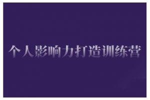 个人影响力打造训练营,掌握公域引流、私域运营、产品定位等核心技能,实现从0到1的个人IP蜕变-阳知网创资源库