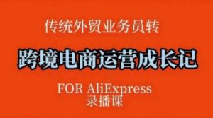跨境电商速卖通运营课,运营方法论+后台实操,逻辑清晰-阳知网创资源库