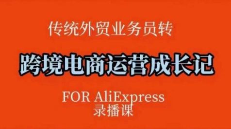 跨境电商速卖通运营课,运营方法论+后台实操,逻辑清晰-阳知网创资源库