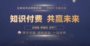 别人苦寻无果,为何他们靠知识付费卖项目 2025 年轻松年入100个?【揭秘】-阳知网创资源库