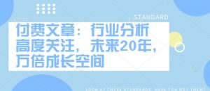 付费文章:行业分析 高度关注,未来20年,万倍成长空间-阳知网创资源库