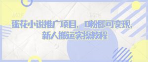 蛋花小说推文项目，0粉即可变现，新人搬运实操教程-阳知网创资源库