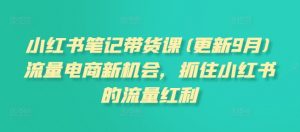 小红书笔记带货课(更新25年2月)流量电商新机会,抓住小红书的流量红利-阳知网创资源库