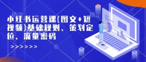 小红书运营课(图文+短视频)基础规则、策划定位、流量密码-阳知网创资源库