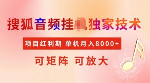 首发搜狐音频挂JI，项目红利期，可矩阵可放大，稳定月入5k【揭秘】-阳知网创资源库