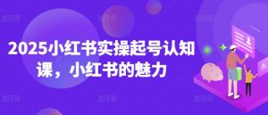 2025小红书实操起号认知课,小红书的魅力-阳知网创资源库