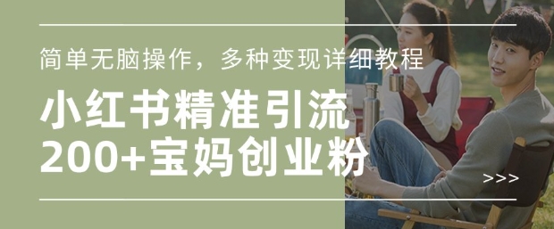 小红书混剪日引200+宝妈创业粉，简单无脑操作，多种变现详细教程-阳知网创资源库